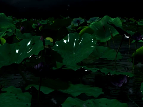 Lotus Pond 3D Model