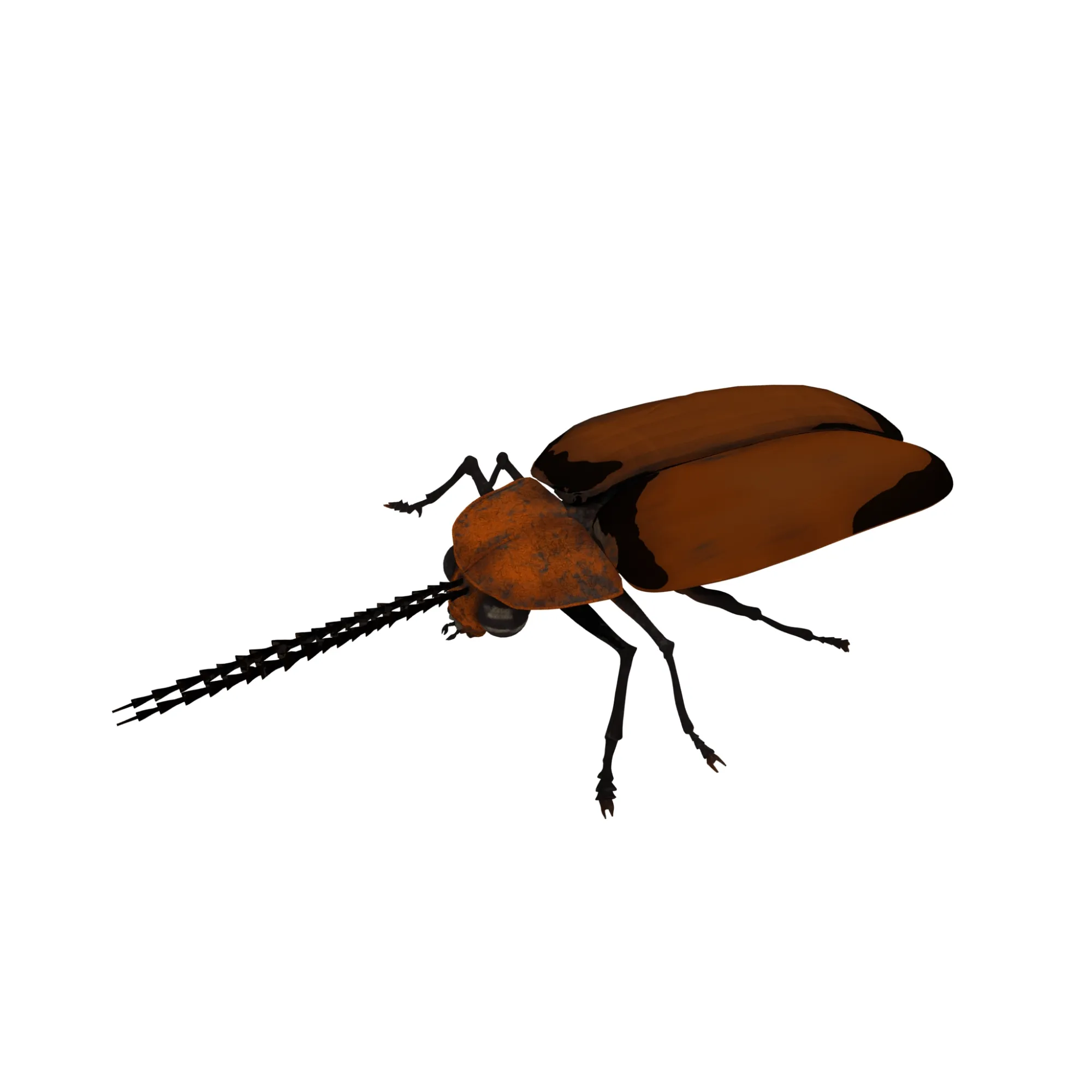 Firefly 3D Model .c4d .max .obj .3ds .fbx .stl .blend