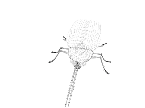 Firefly 3D Model