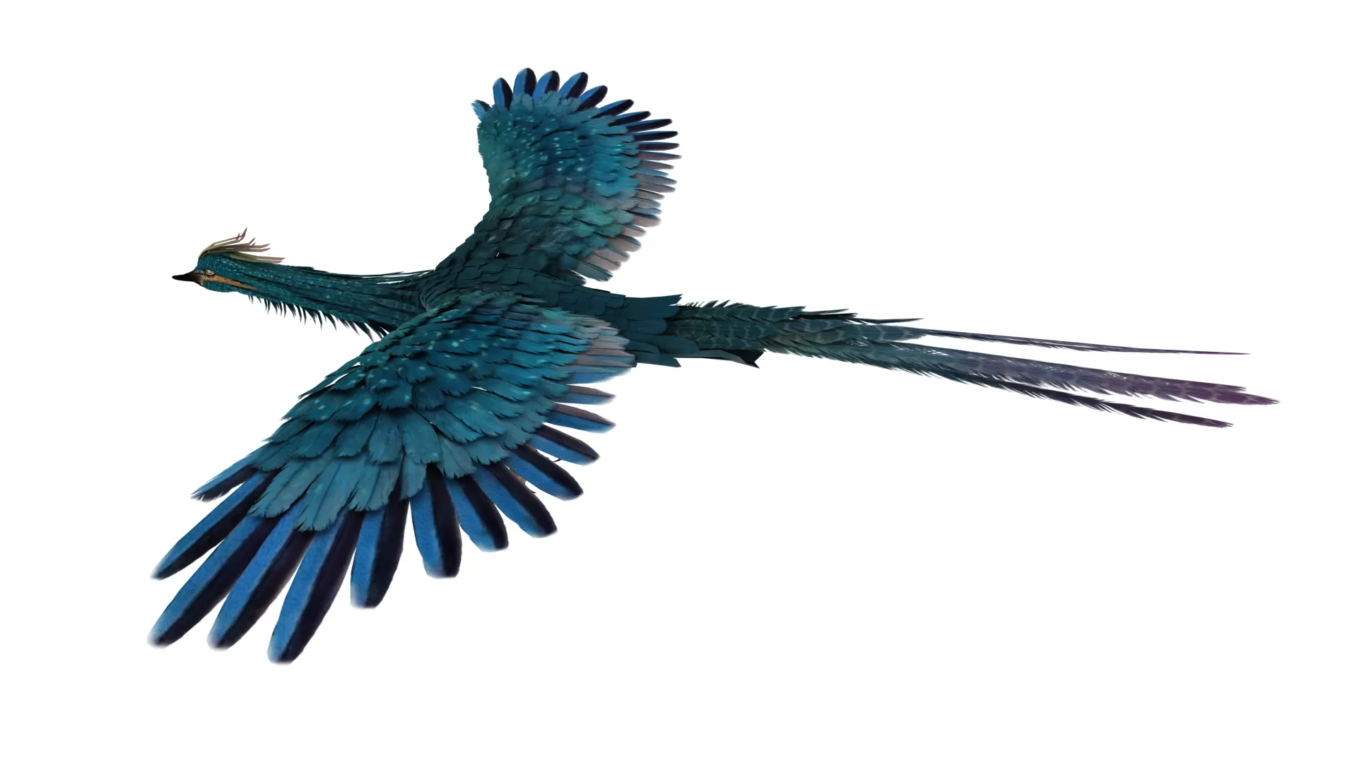 Phoenix 3D Model .c4d .max .obj .3ds .fbx .stl .blend 