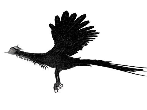 Phoenix 3D Model
