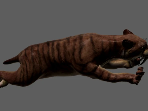 Saber-toothed tiger 3D Modell