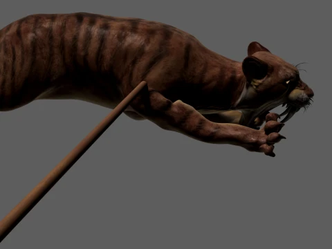 Saber-toothed tiger 3D Model
