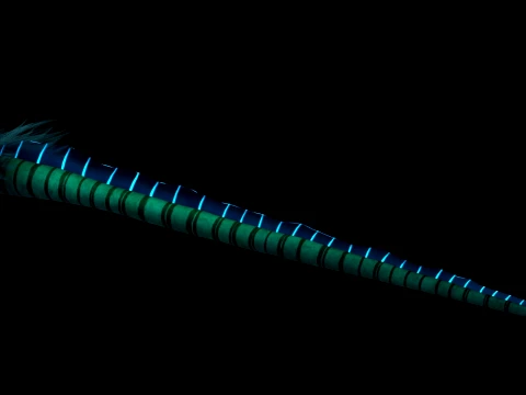 Sea eel 3D Model