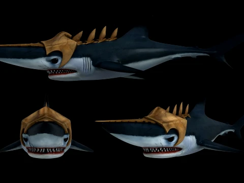 Shark 3D Model