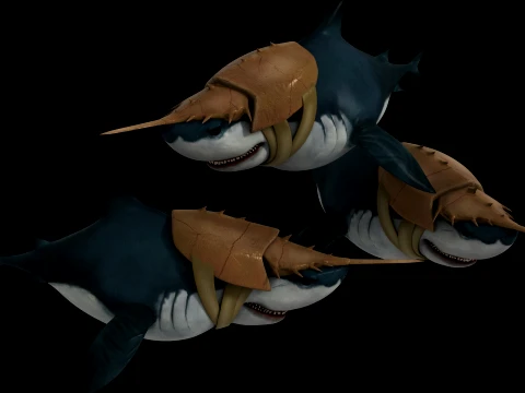 Shark 3D Model