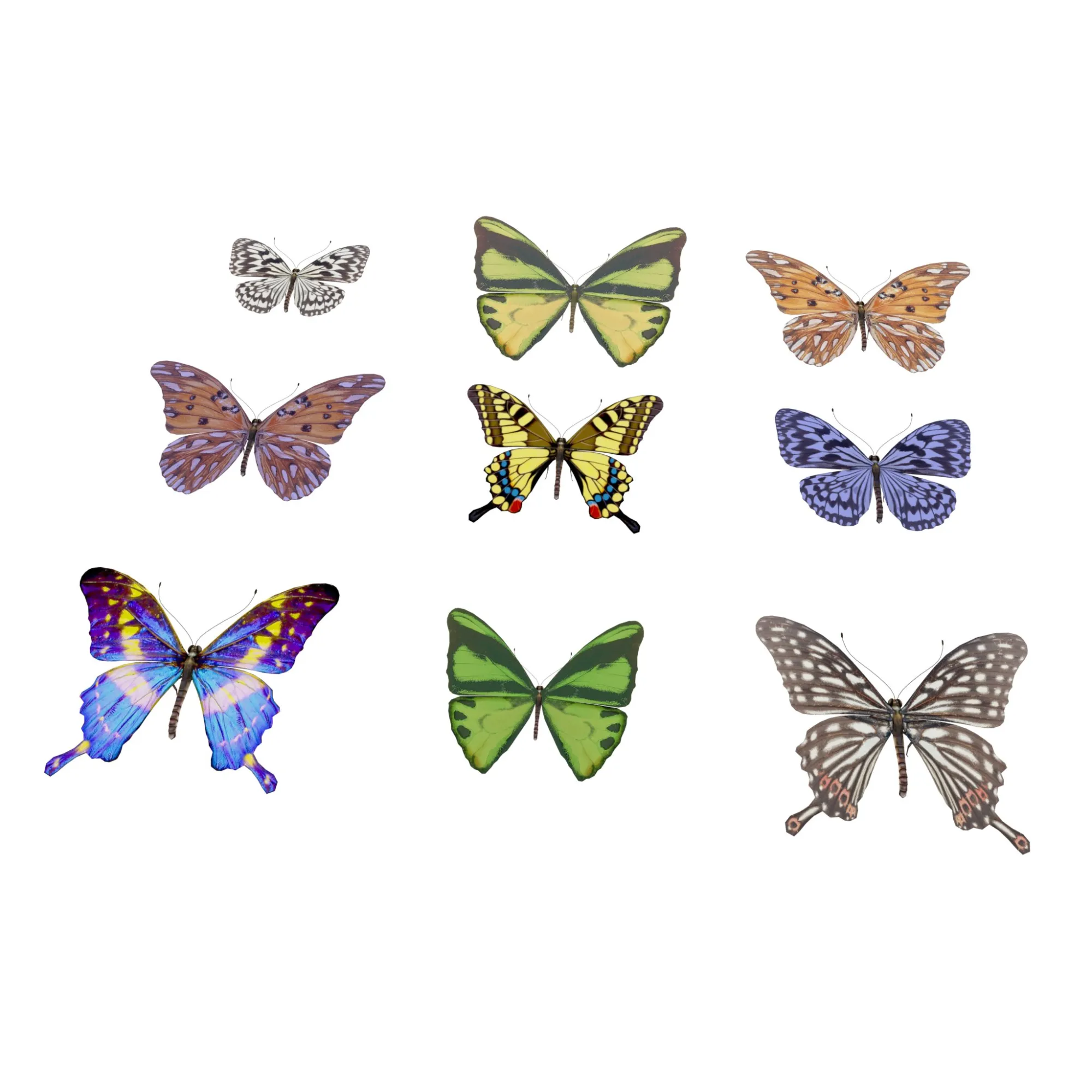 Butterfly 3D Model .c4d .max .obj .3ds .fbx .stl .blend 