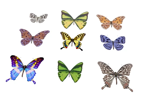 Butterfly 3D Модель