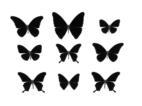 Butterfly 3D Model