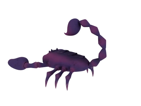 Scorpion 3D Model