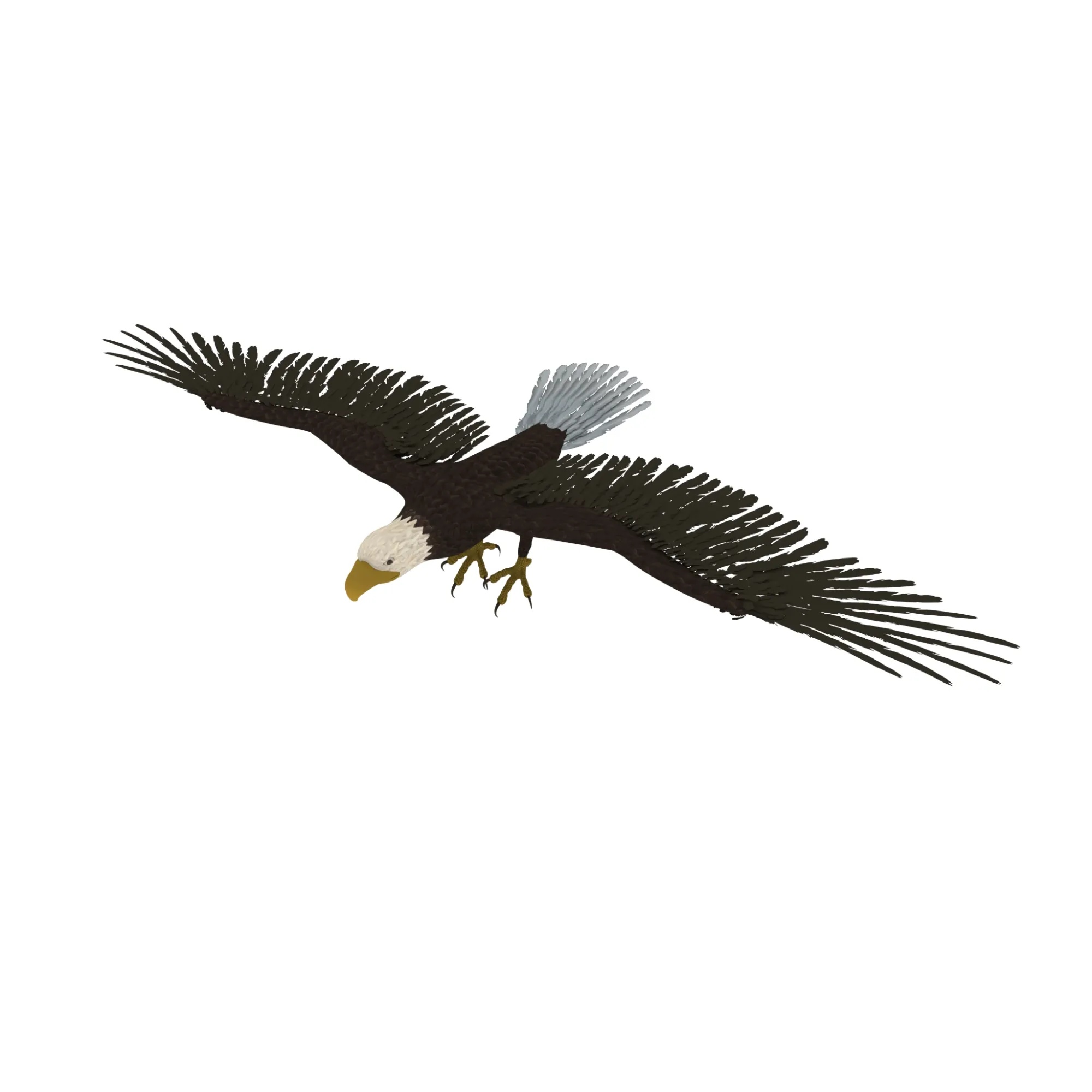 Eagle 3D Model .c4d .max .obj .3ds .fbx .stl .blend 