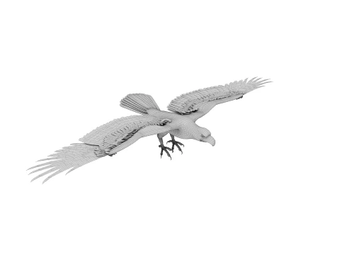Eagle 3D Model