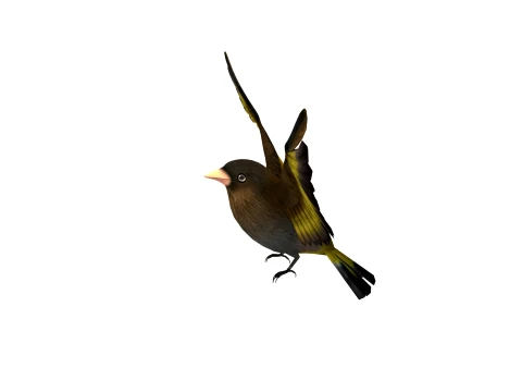 Cartoon bird 3D Model