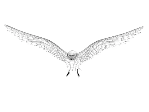 Cartoon bird 3D Model
