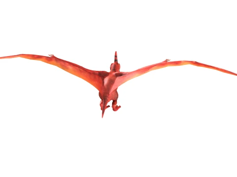 Pterosaur 3D Model