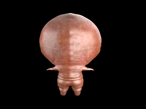 Big Mouth Monster 3D Model
