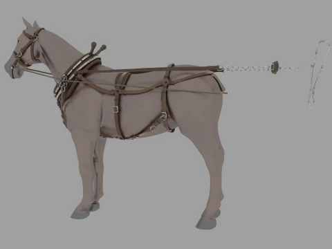 Horse 3D Model