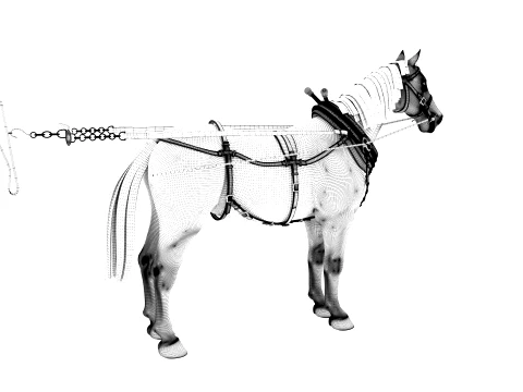Horse 3D Model