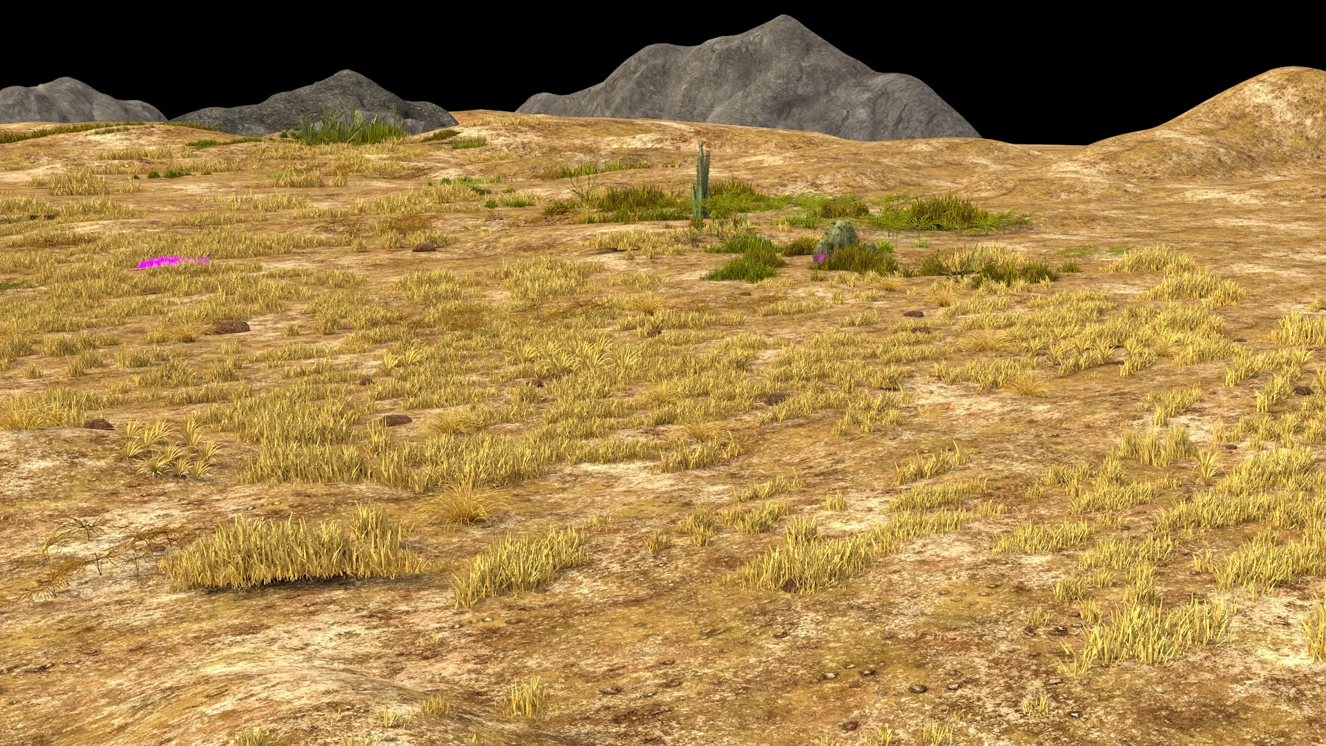 Grassland 3D Model .c4d .max .obj .3ds .fbx .stl .blend