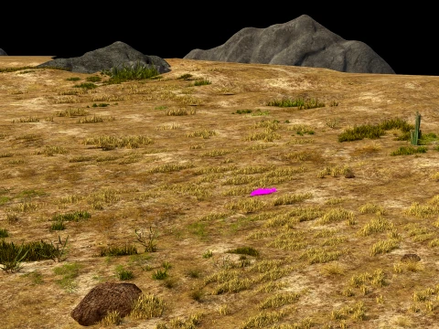 Grassland 3D Model