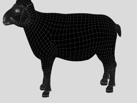 Sheep 3D Model