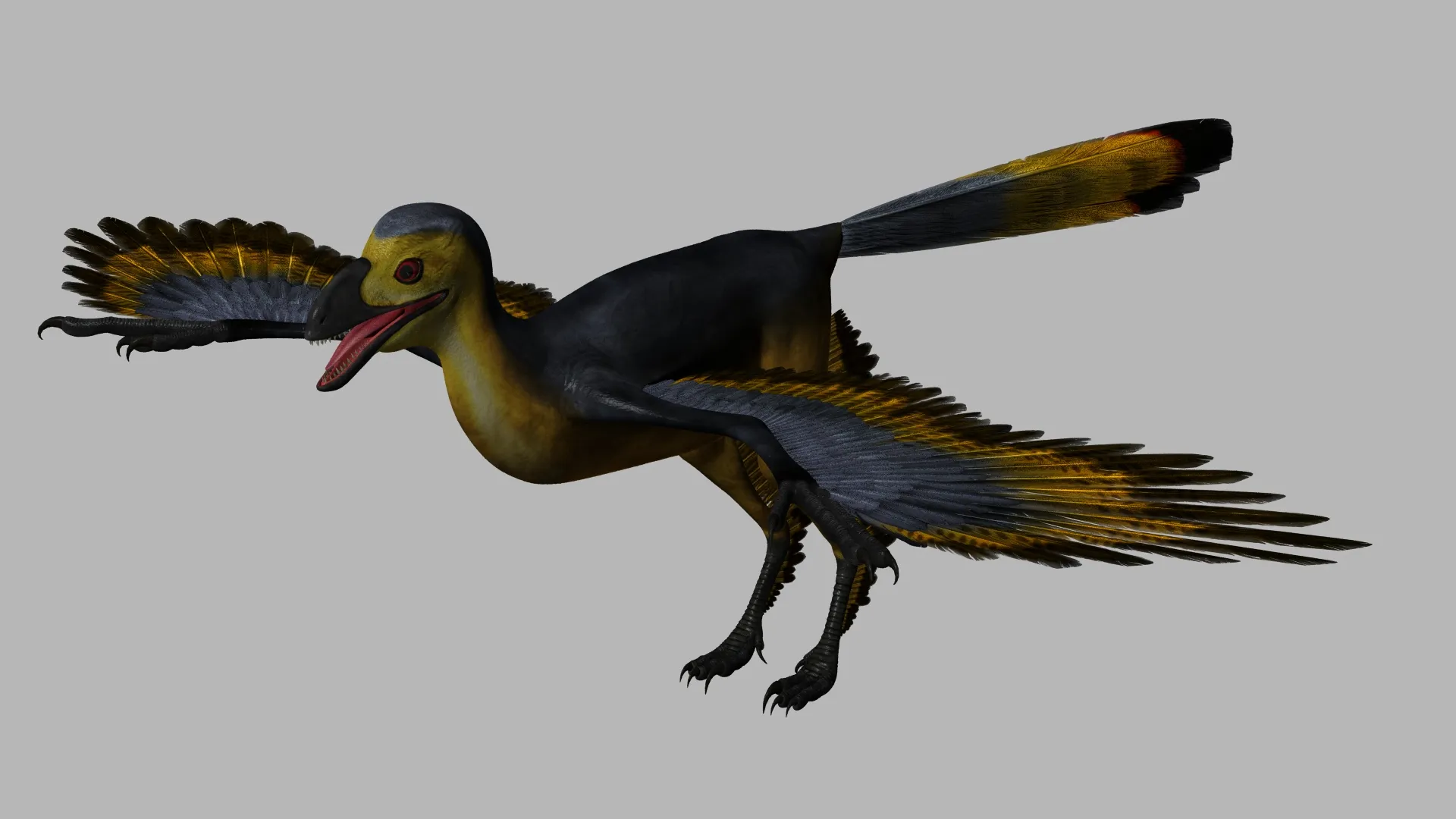 Sapeornis 3D Model .c4d .max .obj .3ds .fbx .stl .blend 