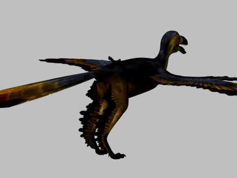 Sapeornis 3D Model