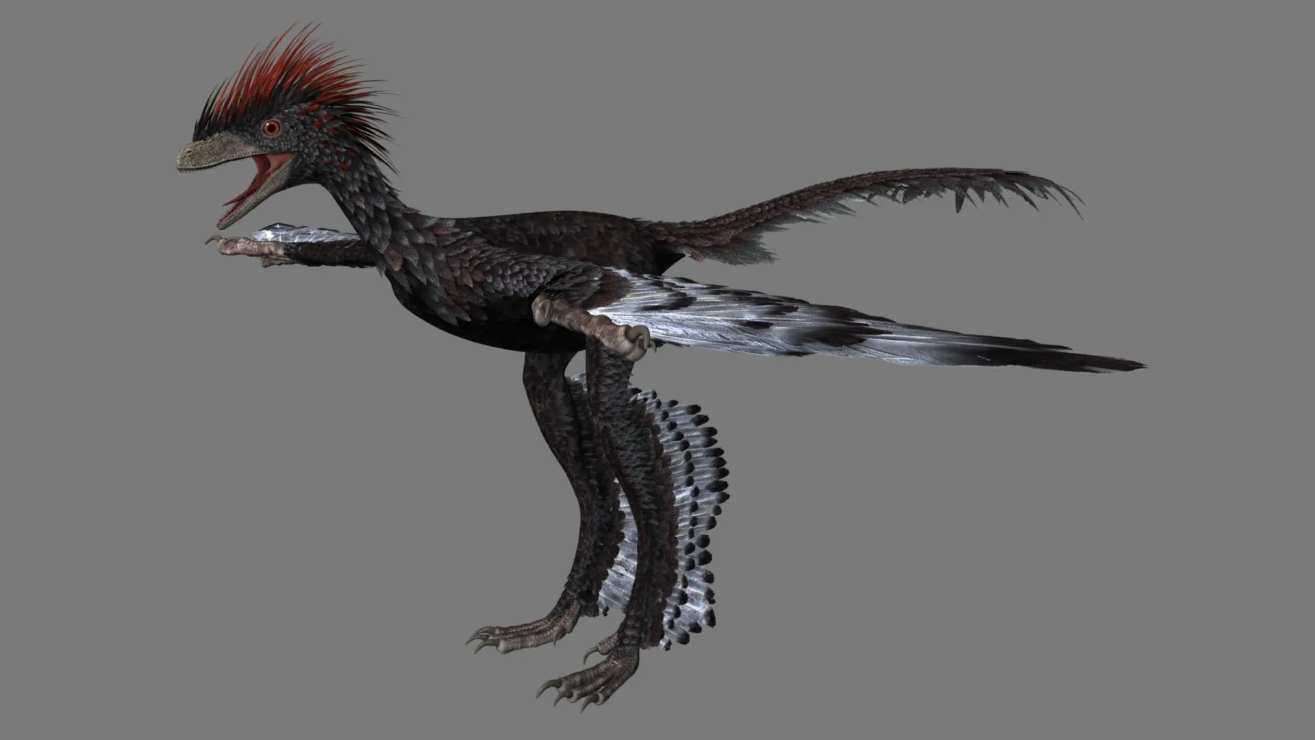 Anchiornis 3D Model .c4d .max .obj .3ds .fbx .stl .blend 