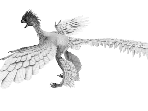 Anchiornis 3D Model