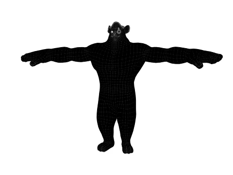 Cartoon bear 3D Model
