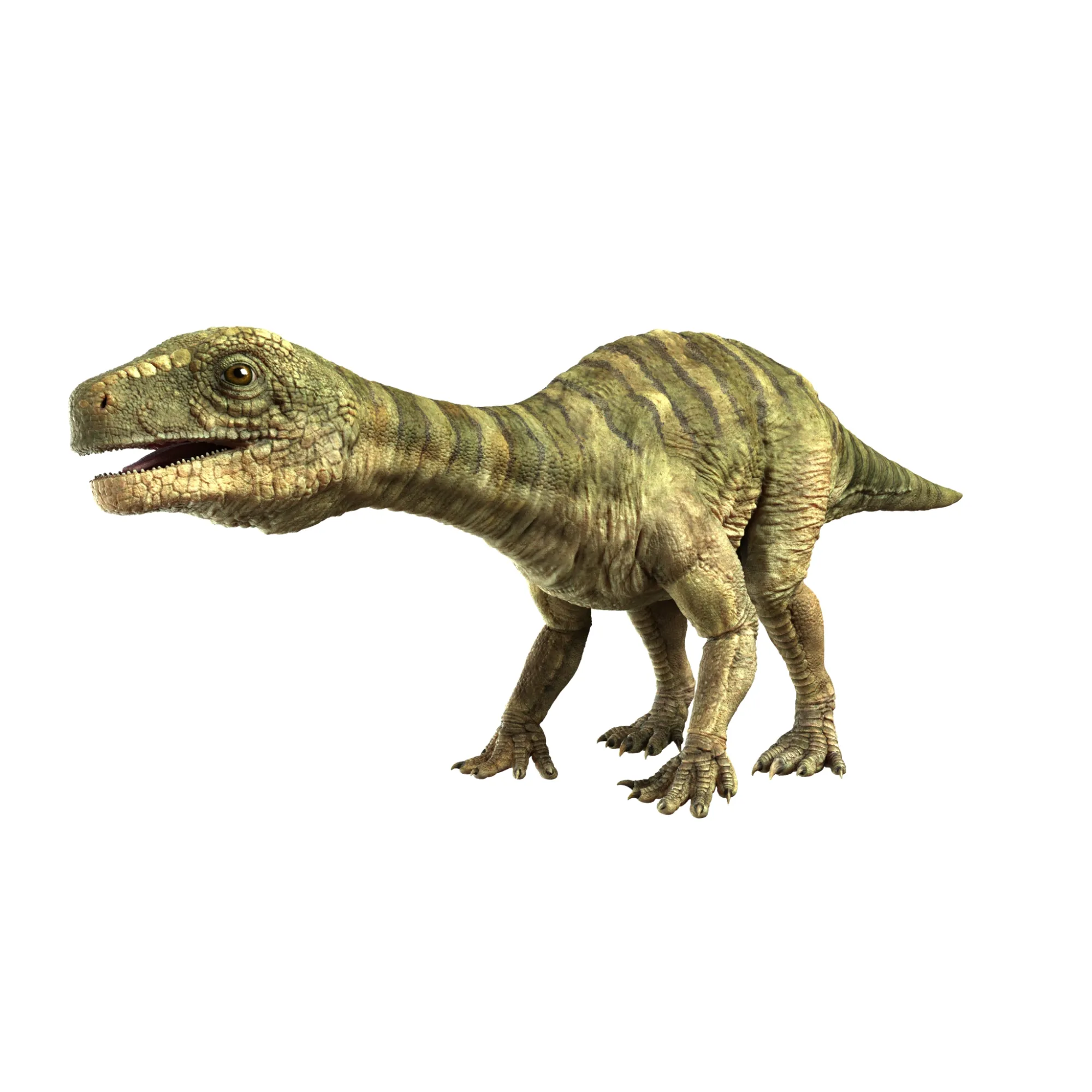 Lufengosaurus 3Dモデル .c4d .max .obj .3ds .fbx .stl .blend