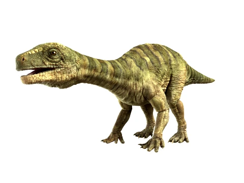 Lufengosaurus 3D 모델