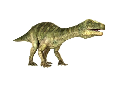 Lufengosaurus 3D 모델