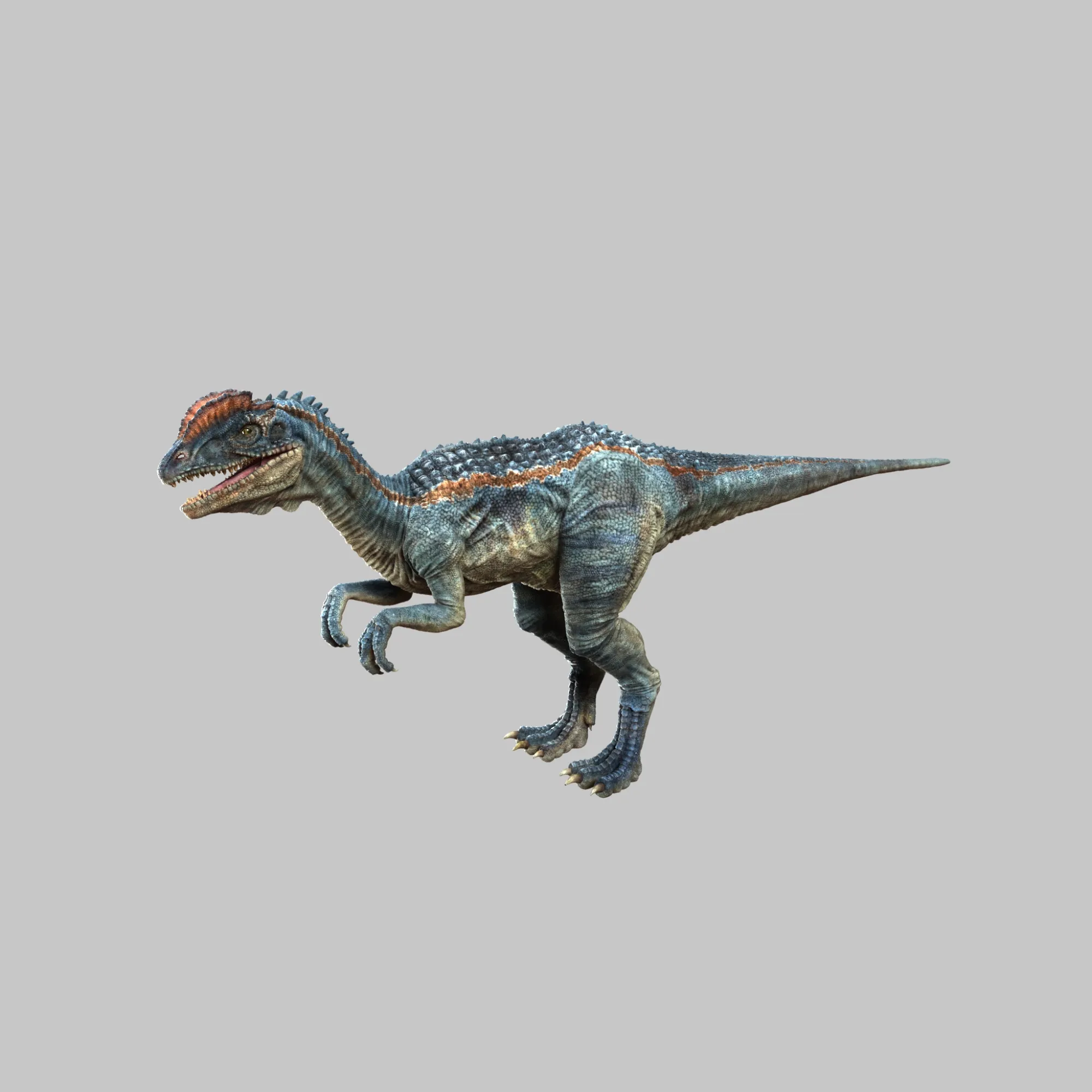 Dilophosaurus 3D Model .c4d .max .obj .3ds .fbx .stl .blend 