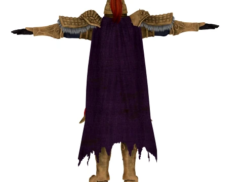 General 3D Model