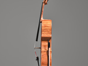 cello with the bow 3D मॉडल