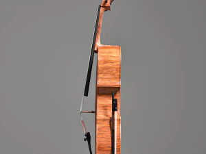 cello with the bow 3D Model
