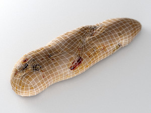 olive breadstick 090 3D Model