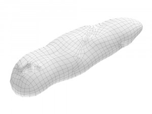 olive breadstick 090 3D Model