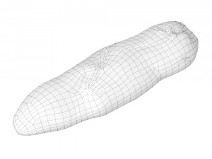 olive breadstick 090 3D Model