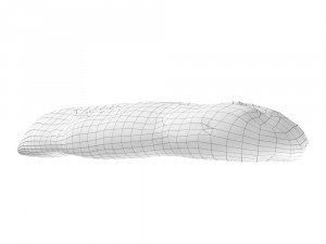 olive breadstick 090 3D Model
