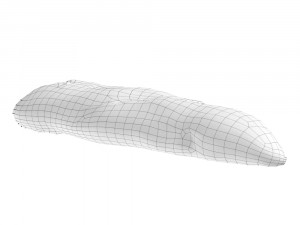 olive breadstick 090 3D Model