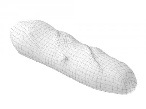 french baguette 100 3D Model
