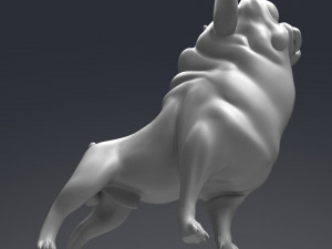 funny french bulldog 3d print model Modelo de Impressão 3D