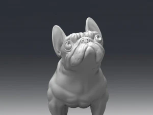 Model buldoga francuskiego wydrukowany w 3D Model do druku 3D