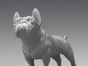 french bulldog 3d print model Modello di stampa 3D