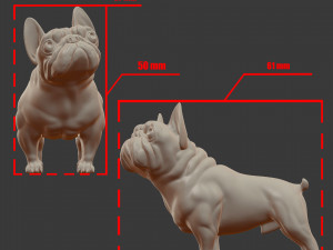 french bulldog 3d print model Modello di stampa 3D