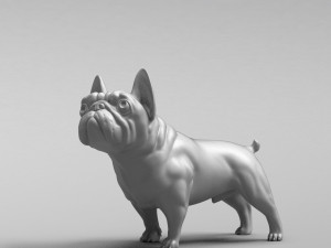 french bulldog 3d print model Modello di stampa 3D