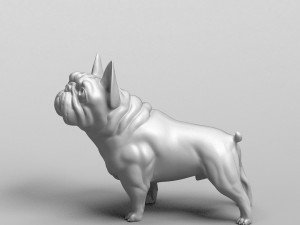 french bulldog 3d print model Modello di stampa 3D
