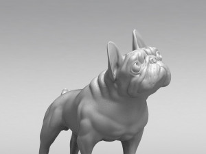 french bulldog 3d print model Modello di stampa 3D